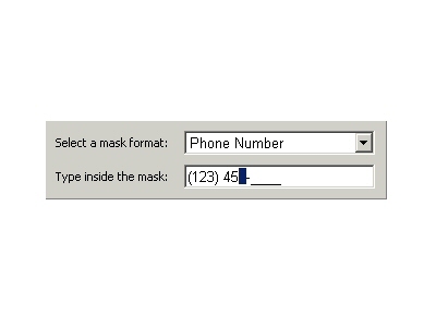 Input Mask Screenshot